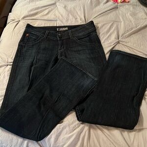 Hudson Jeans Size 28 Low rise Flare EUC